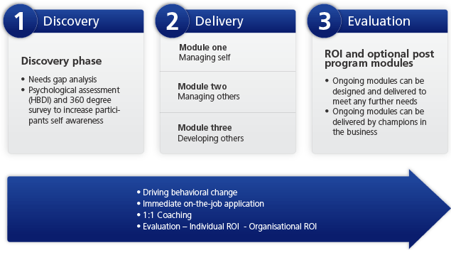Leadership Solution for the insurance industry